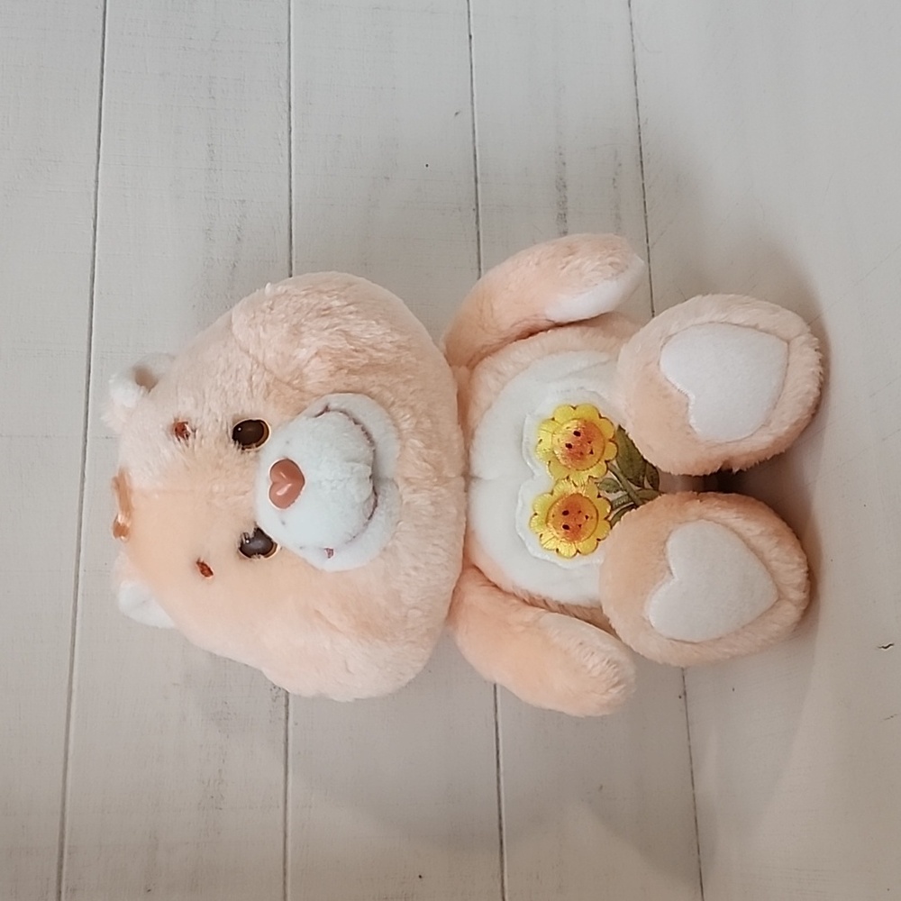 🧡 Friend Care Bear
